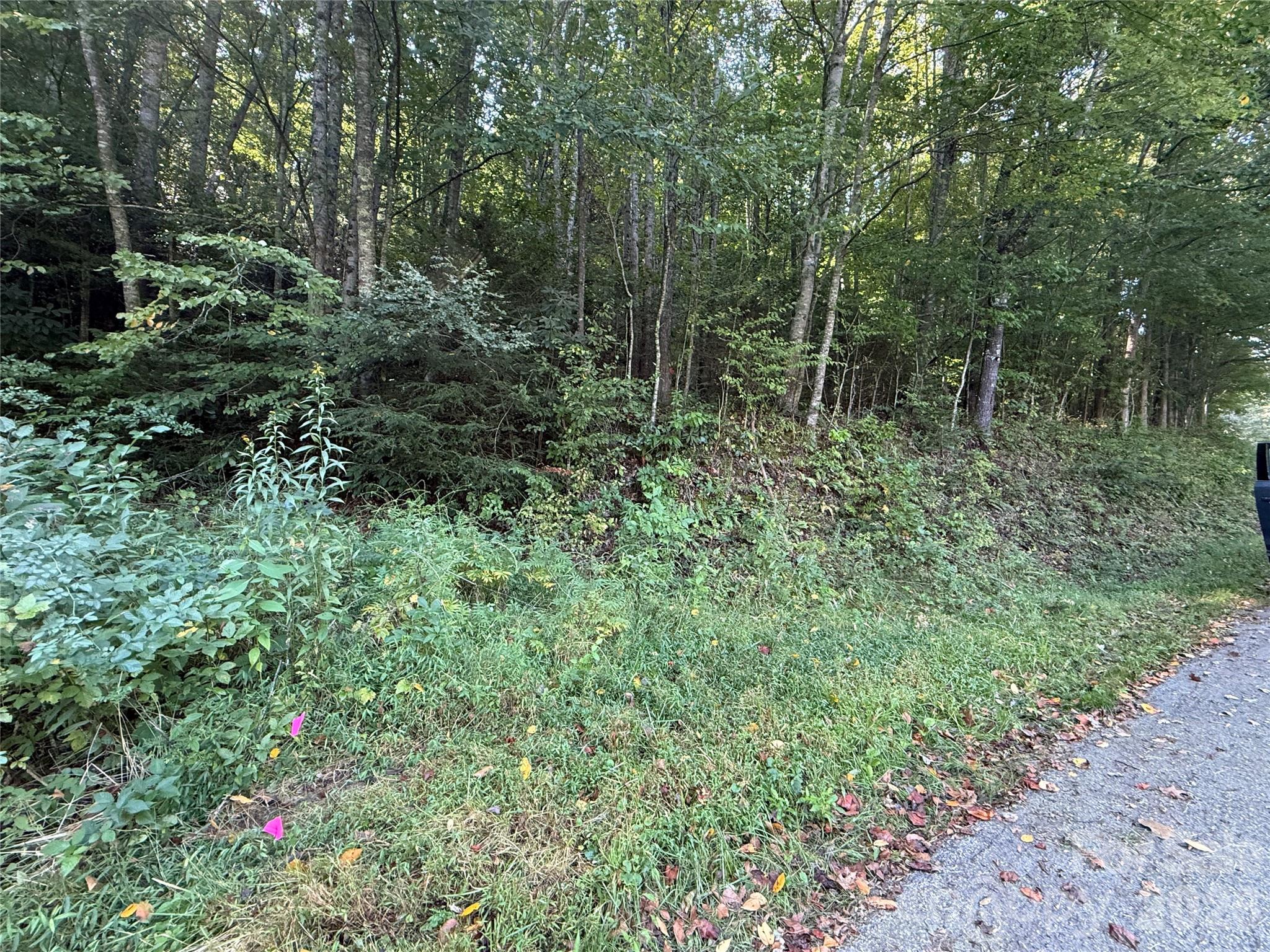 000A Bobcat Road