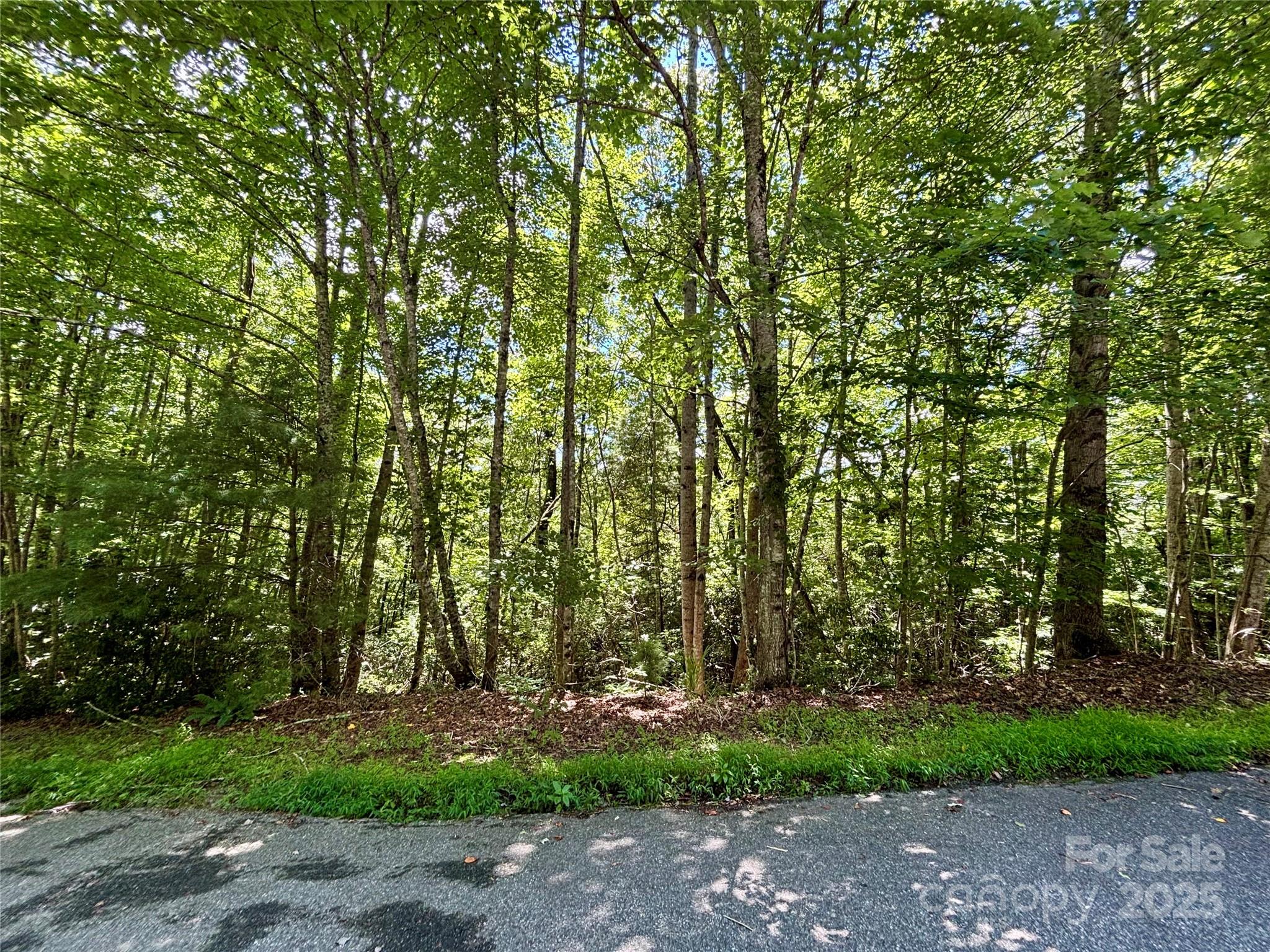 0 Laurel Forest Drive