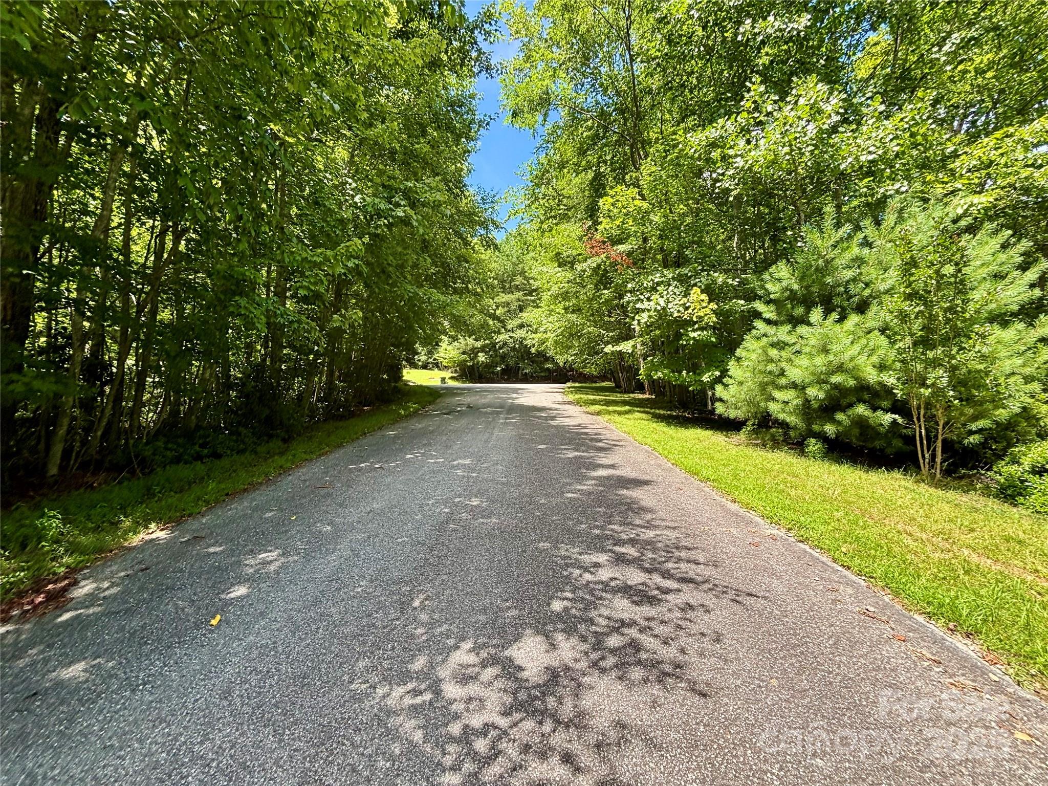 0 Laurel Forest Drive