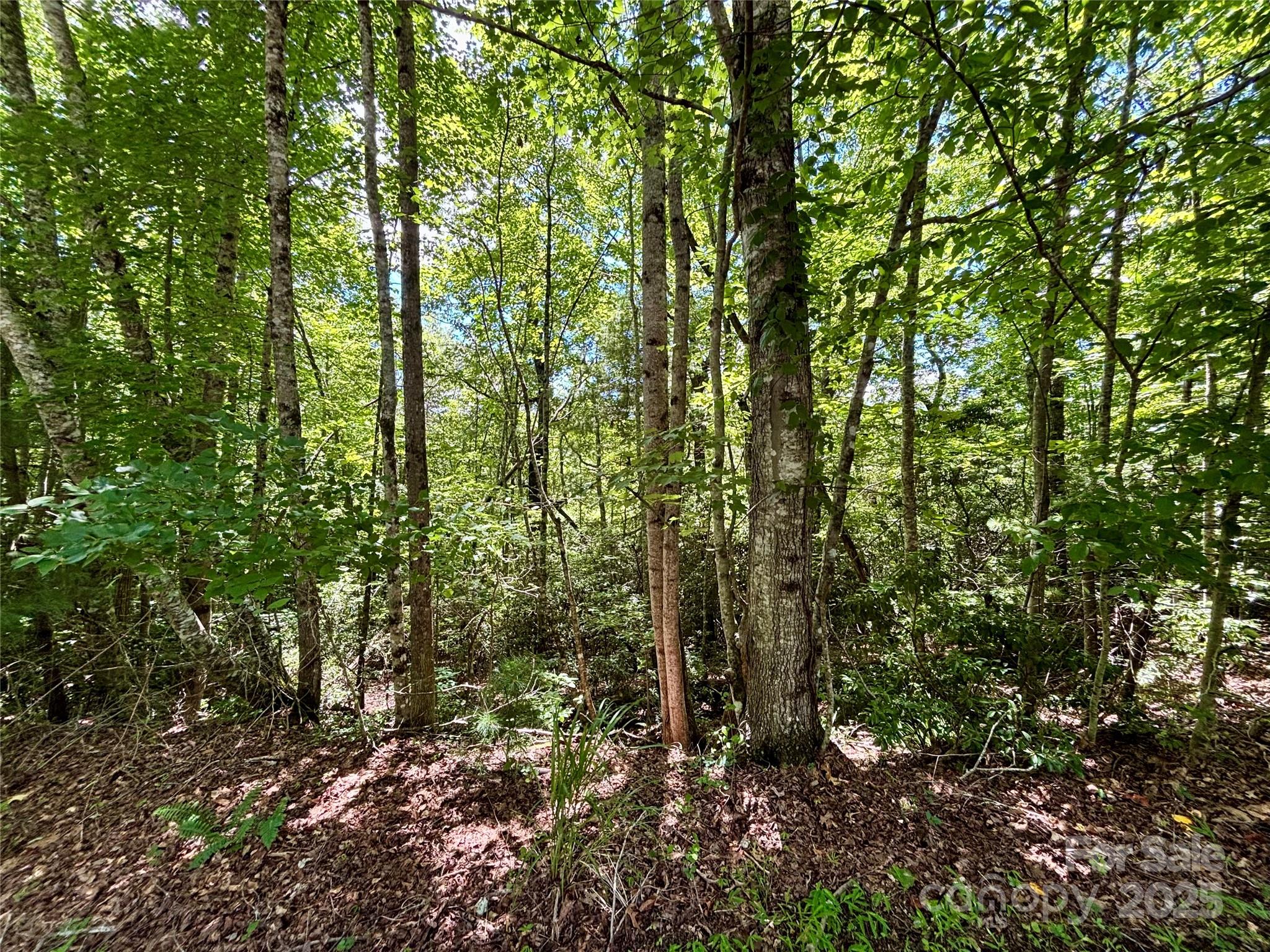 0 Laurel Forest Drive