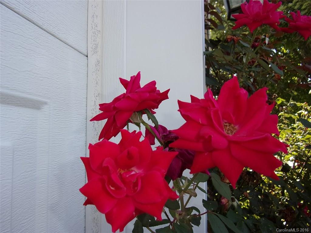 Deerlake Village - Residential