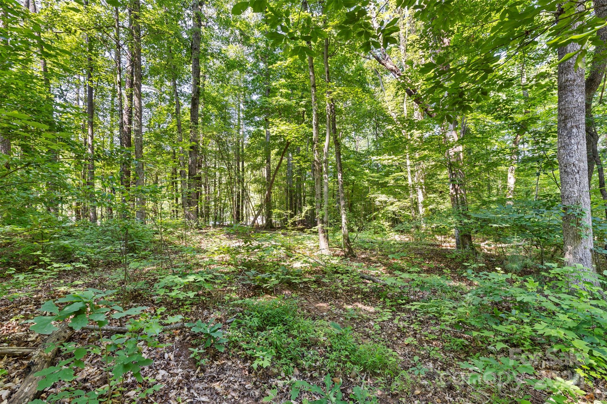 Wildwood Acres - Land