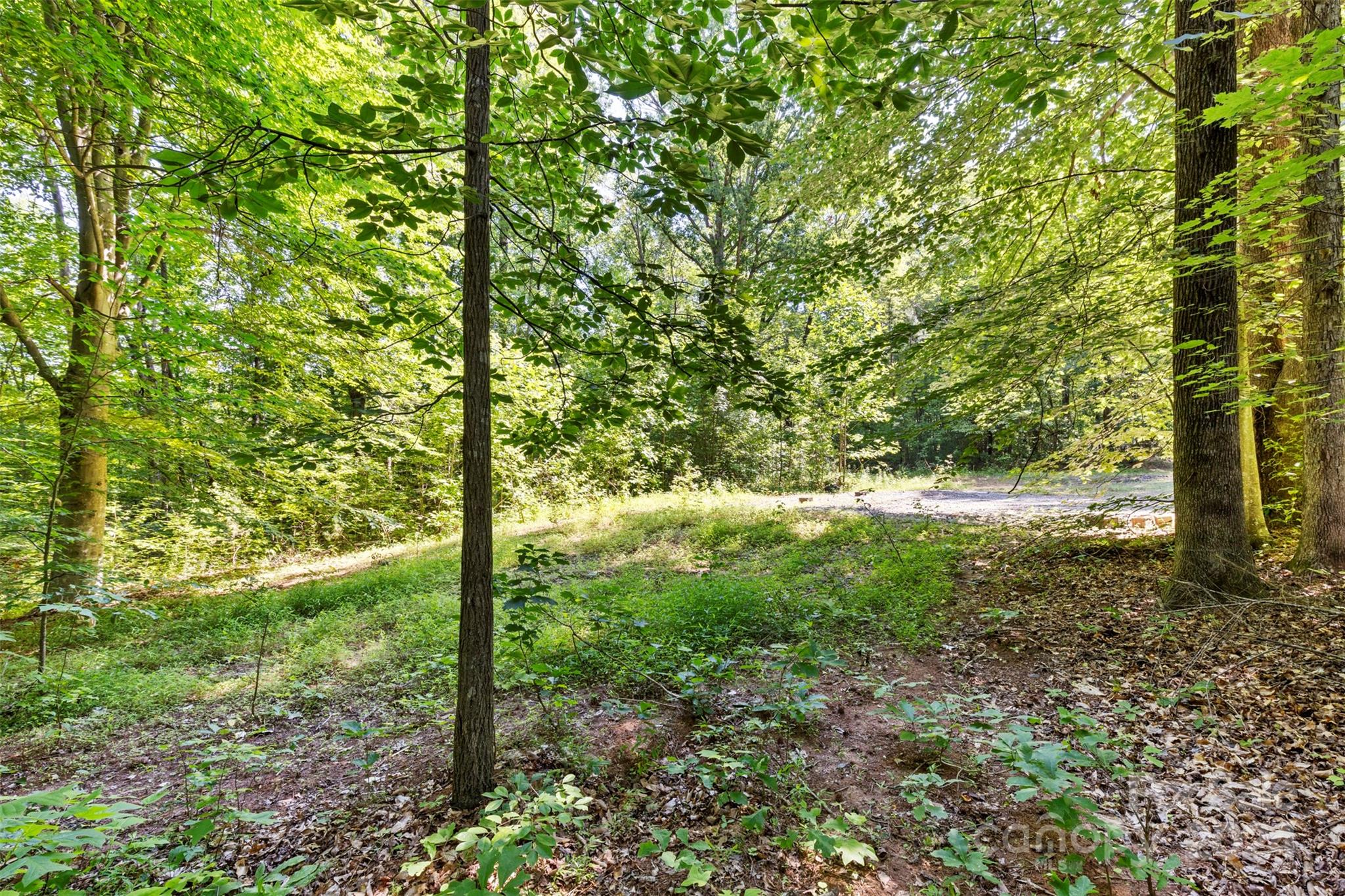 Wildwood Acres - Land