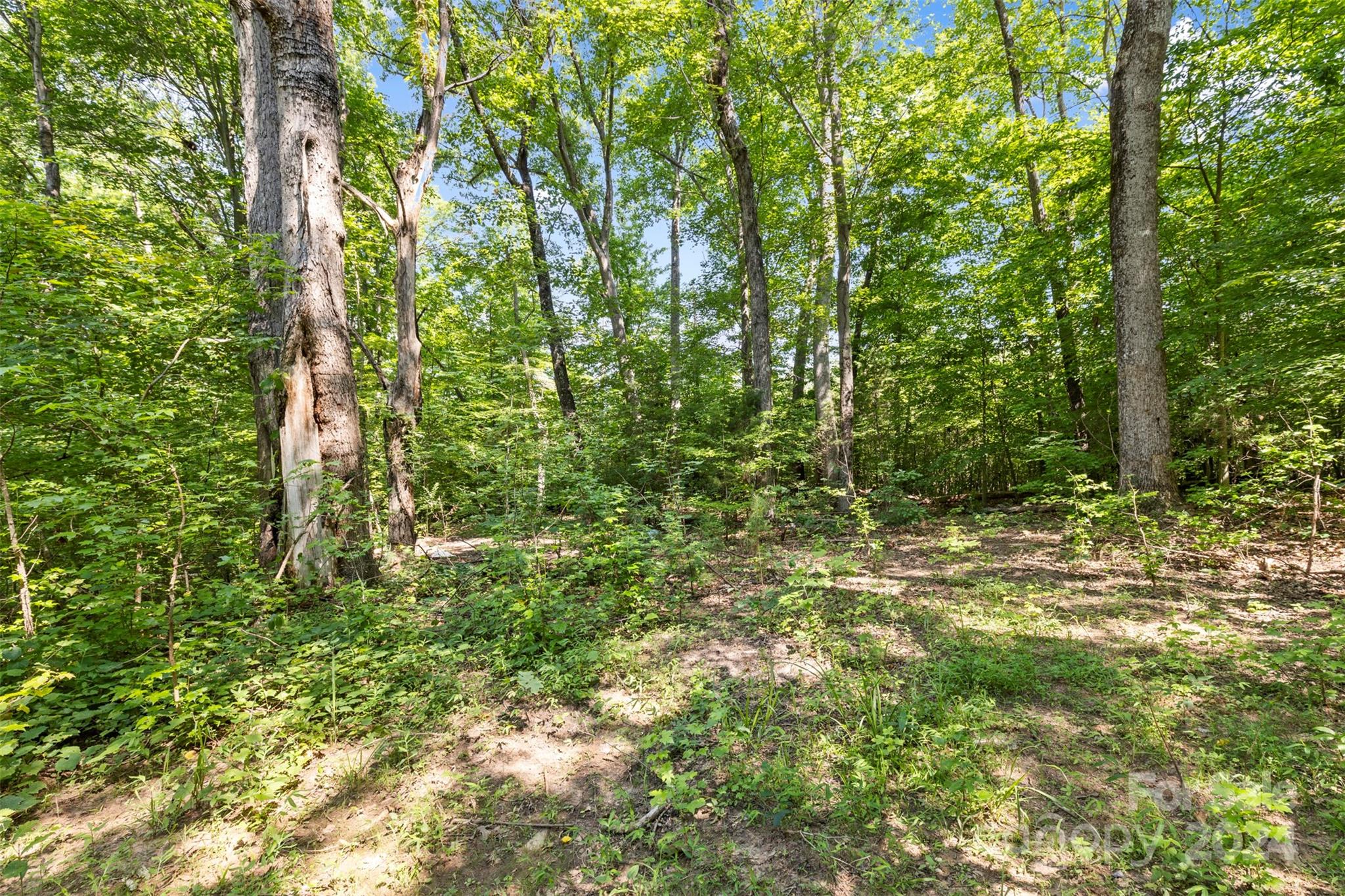 Wildwood Acres - Land