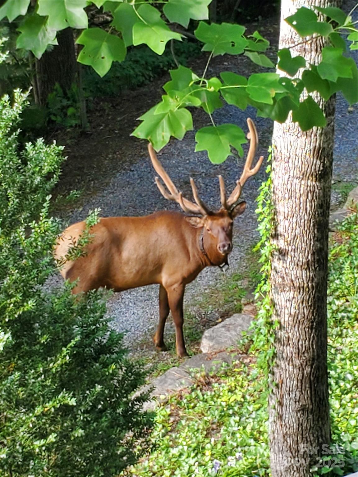 Ketner Property - Residential