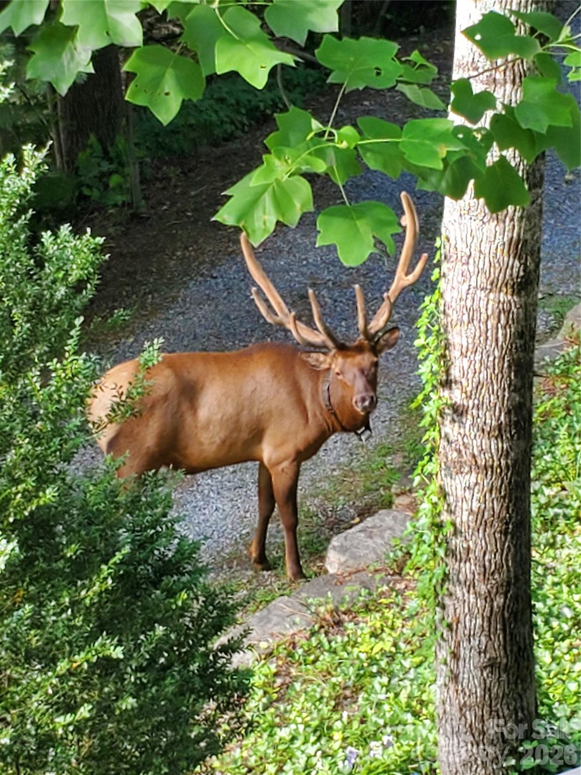 Ketner Property - Residential