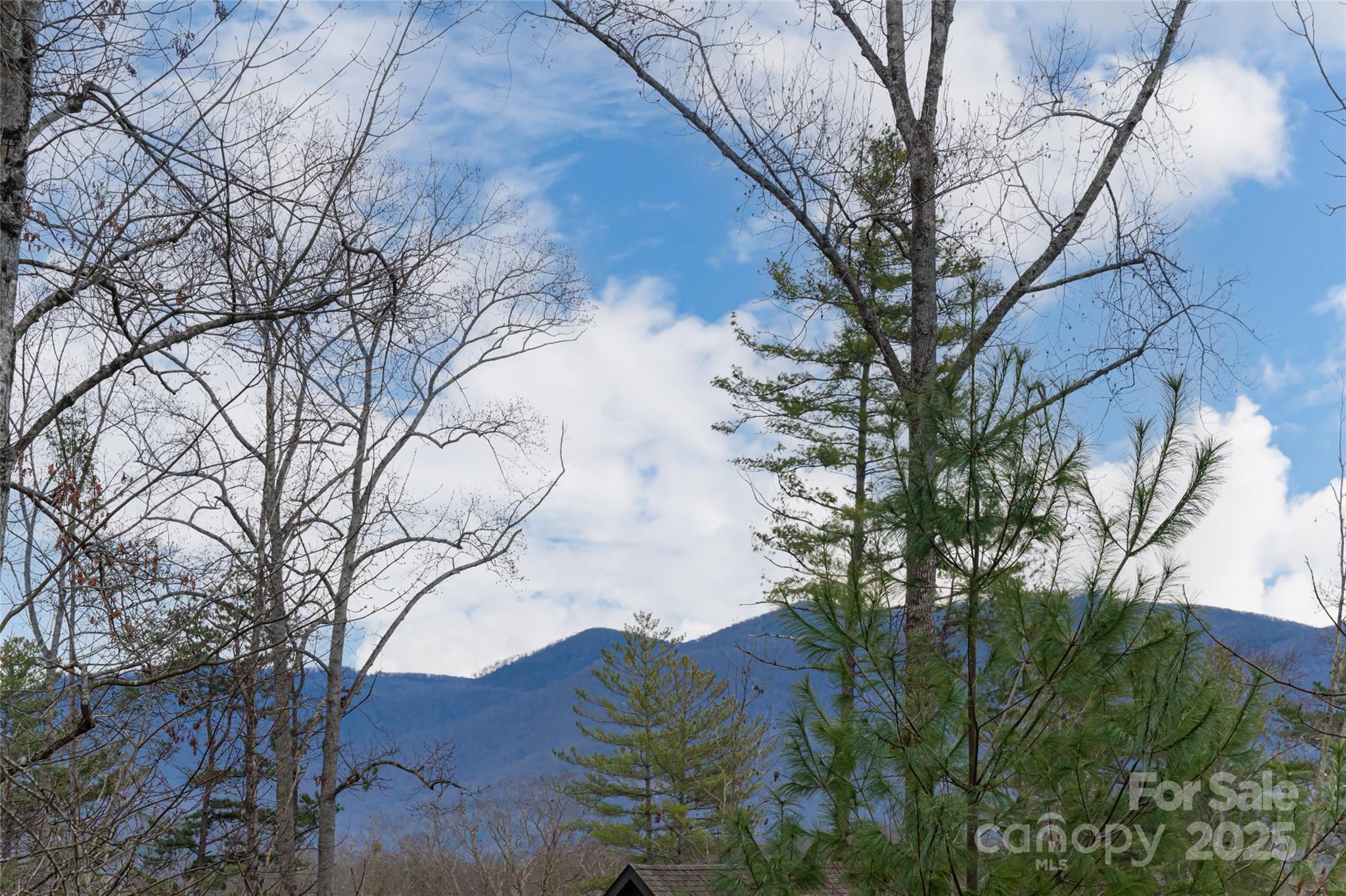 42 Towering Oaks Lane