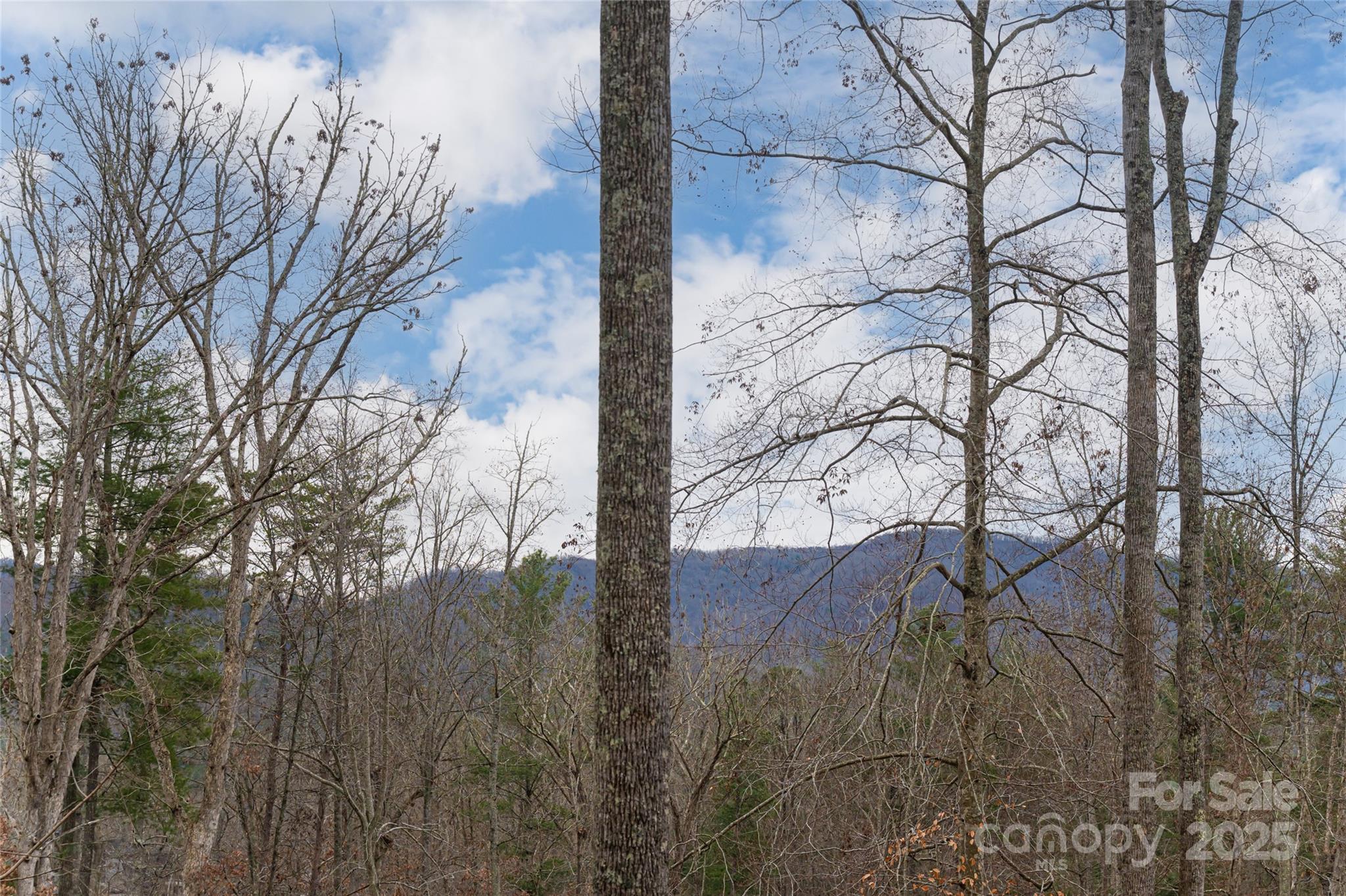 Sovereign Oaks - Residential