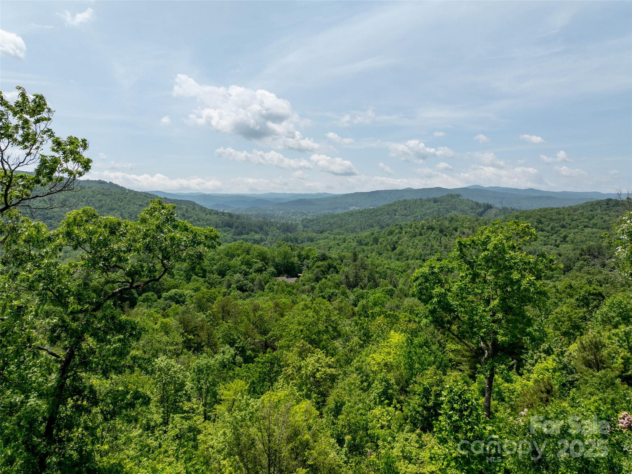260 Arbor Woods Drive