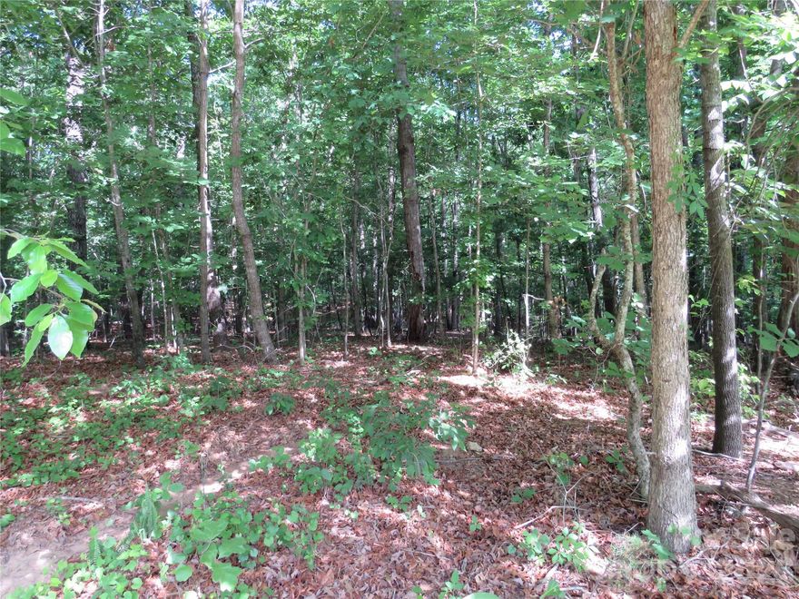 Discover the perfect blend of peaceful country living and everyday convenience with this beautiful 3.07-acre parcel nestled in a quiet rural setting. Offering a prime building site, this property provides the ideal canvas for creating your dream home, with plenty of space to spread out and enjoy the outdoors. With light restrictions, you will have the flexibility to design and build to suit your vision while still maintaining the charm of the surrounding area. This rare opportunity combines privacy and accessibility, located just minutes from Hwy 74 and 221 for an easy commute to Charlotte, Asheville, and Spartanburg. Whether you are looking to build now or invest for the future, this property offers the best of both worlds—serene surroundings with modern conveniences close by.