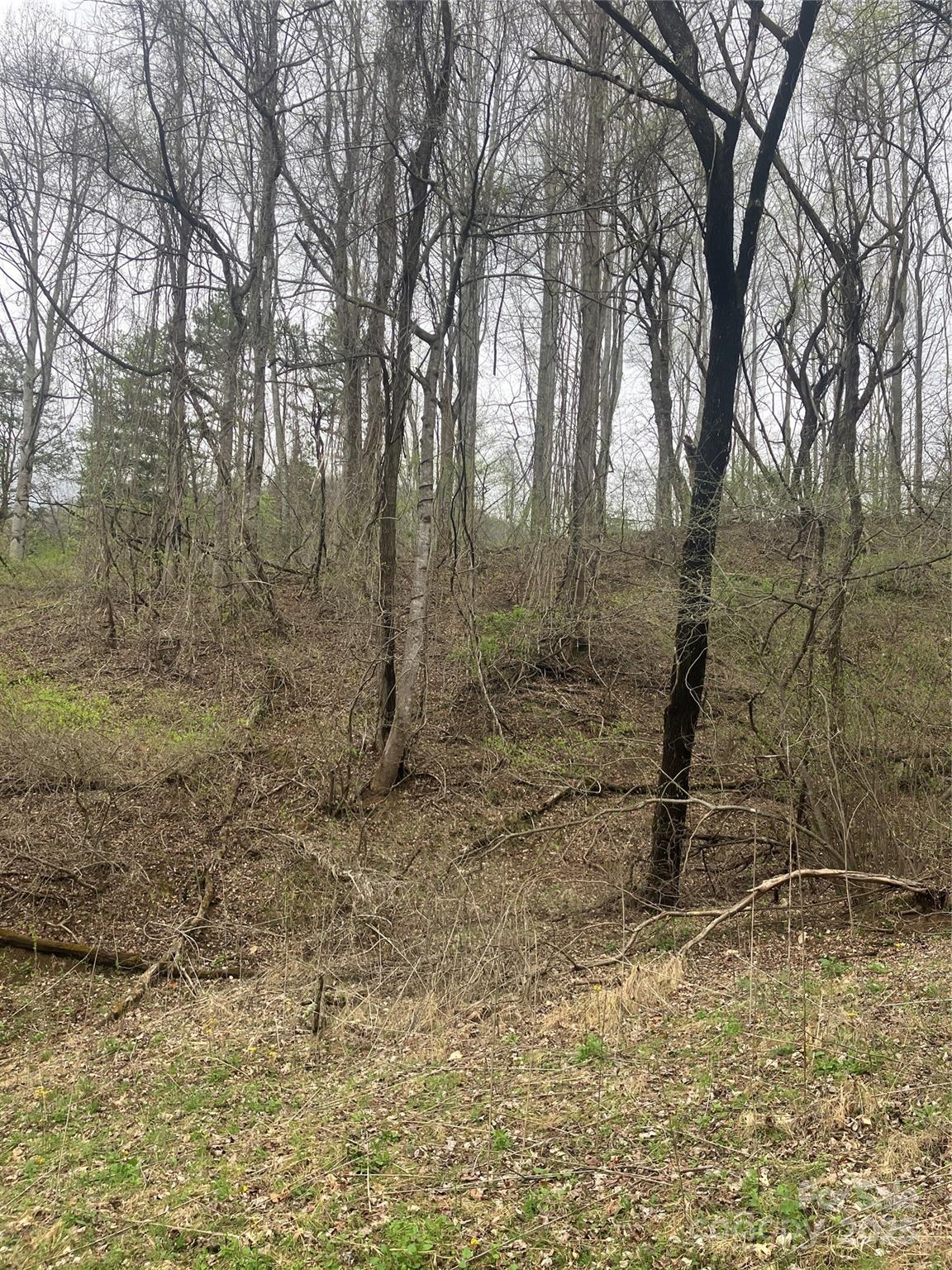9999 Davidson Gap Road