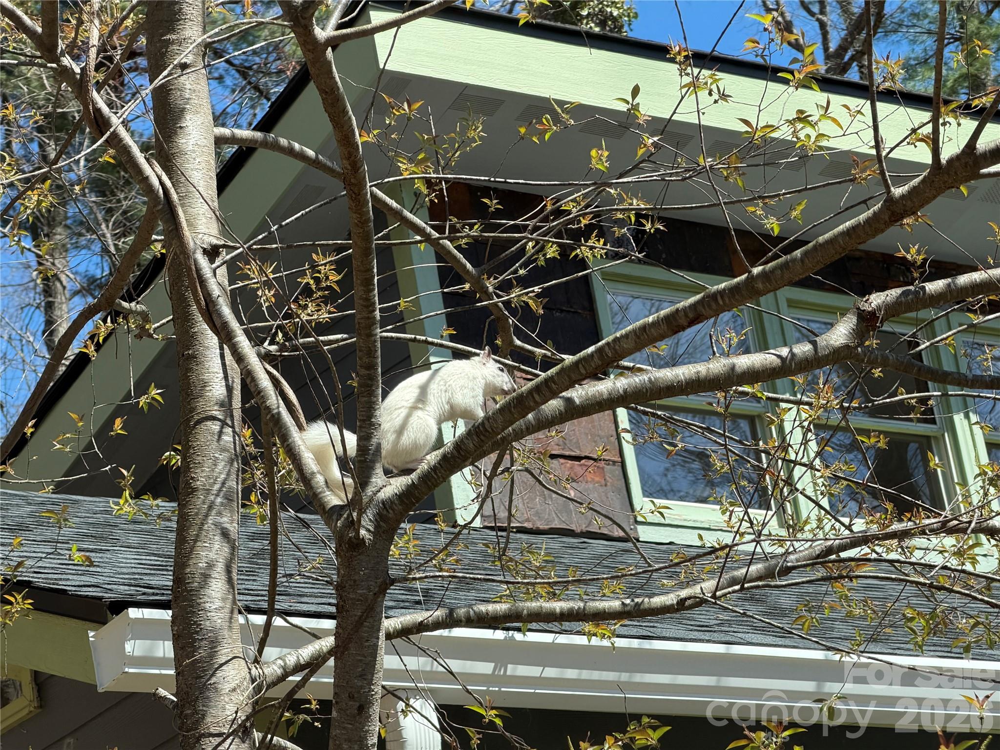 Lynnwood - Residential