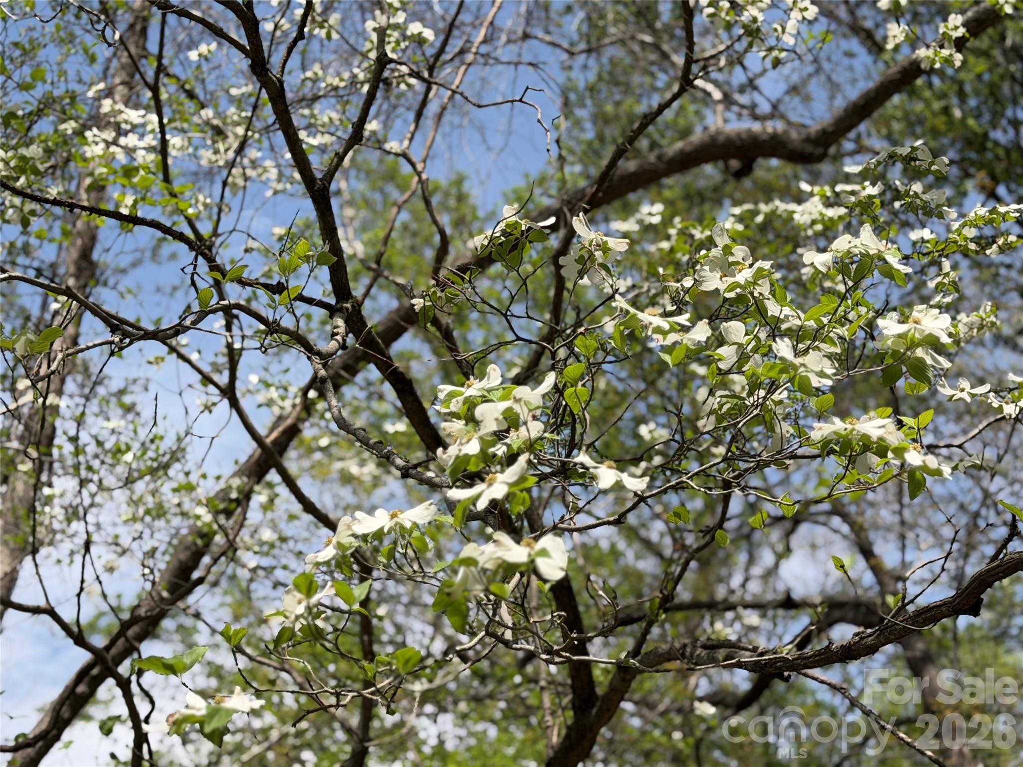 Lynnwood - Residential