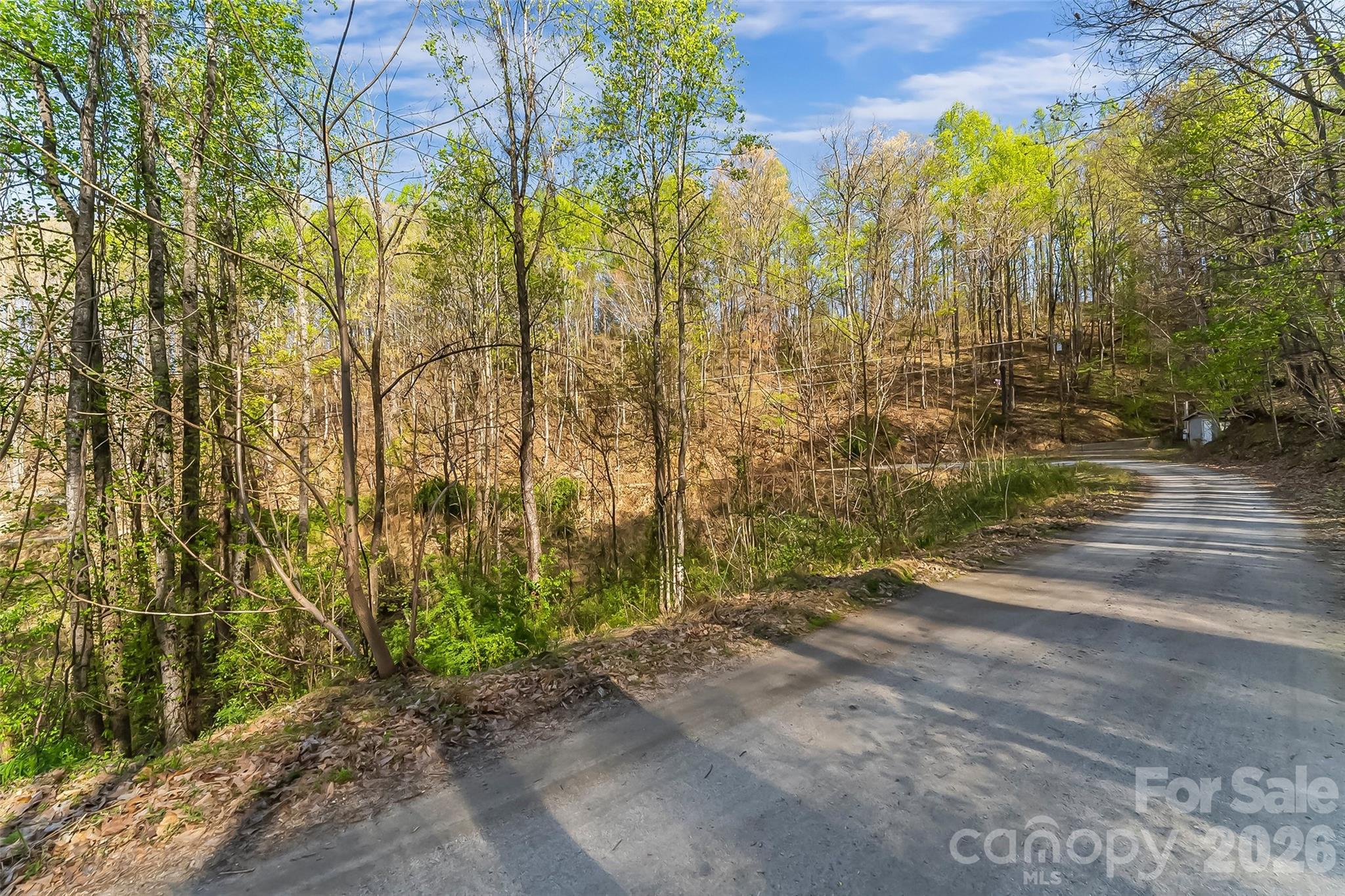 High Peak Mountain - Land