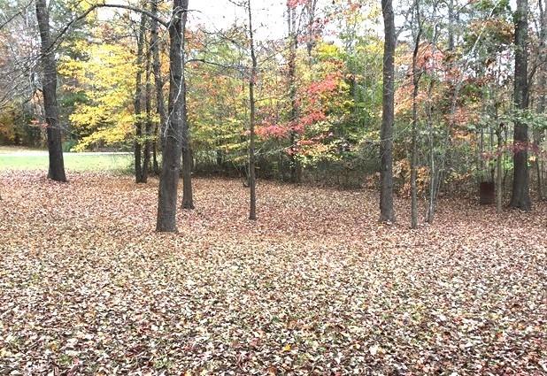 Mountain Brook - Residential