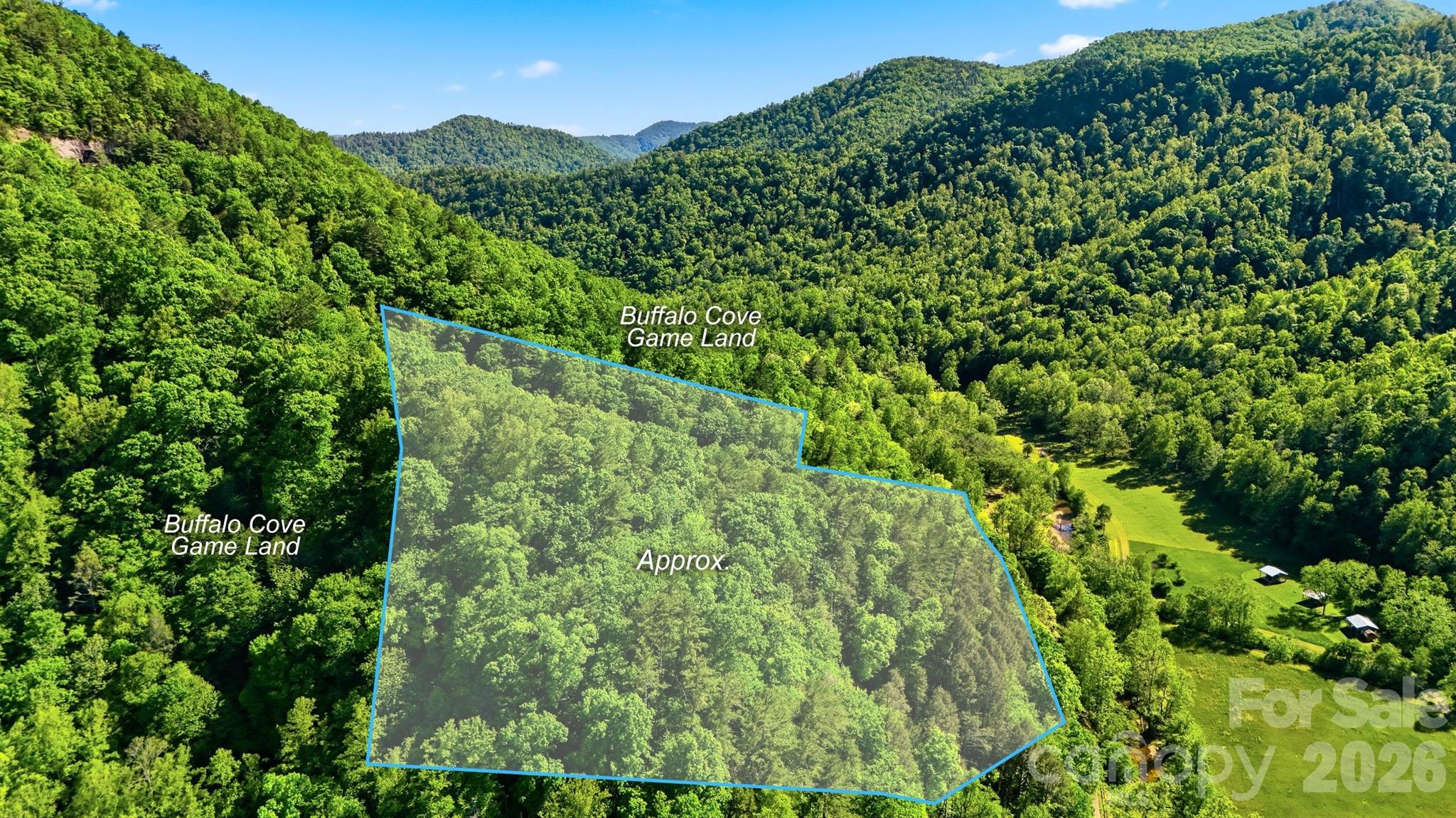 0 Buffalo Cove Road