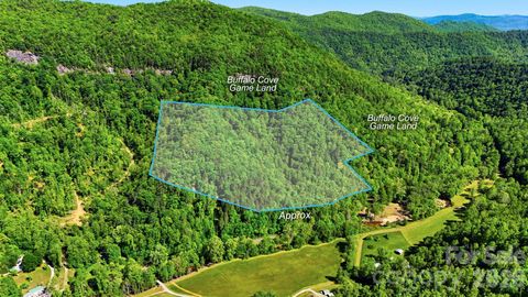 Photo of 0 Buffalo Cove Road, Lenoir, NC 28645 (MLS # 4378631)