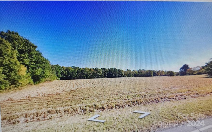 EXCELLENT Location near Downtown Main Street! 3.69 acre Lot for Building your Dream Home.  City Water Access is located at the front of property. Not connected and Tap Fee is $2350 and City Sewer is located at the Rear of the property and not connected. Sewer Fee is $1975