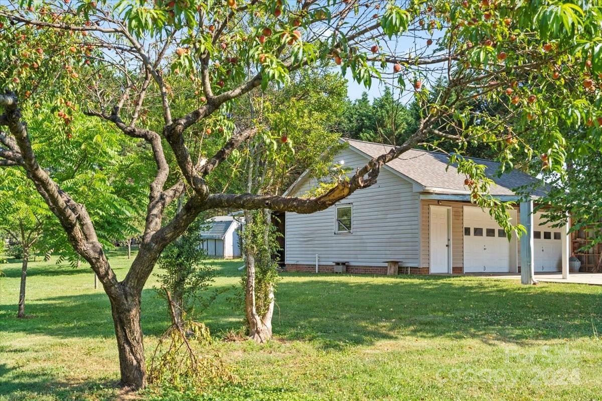Mason Springs - Residential