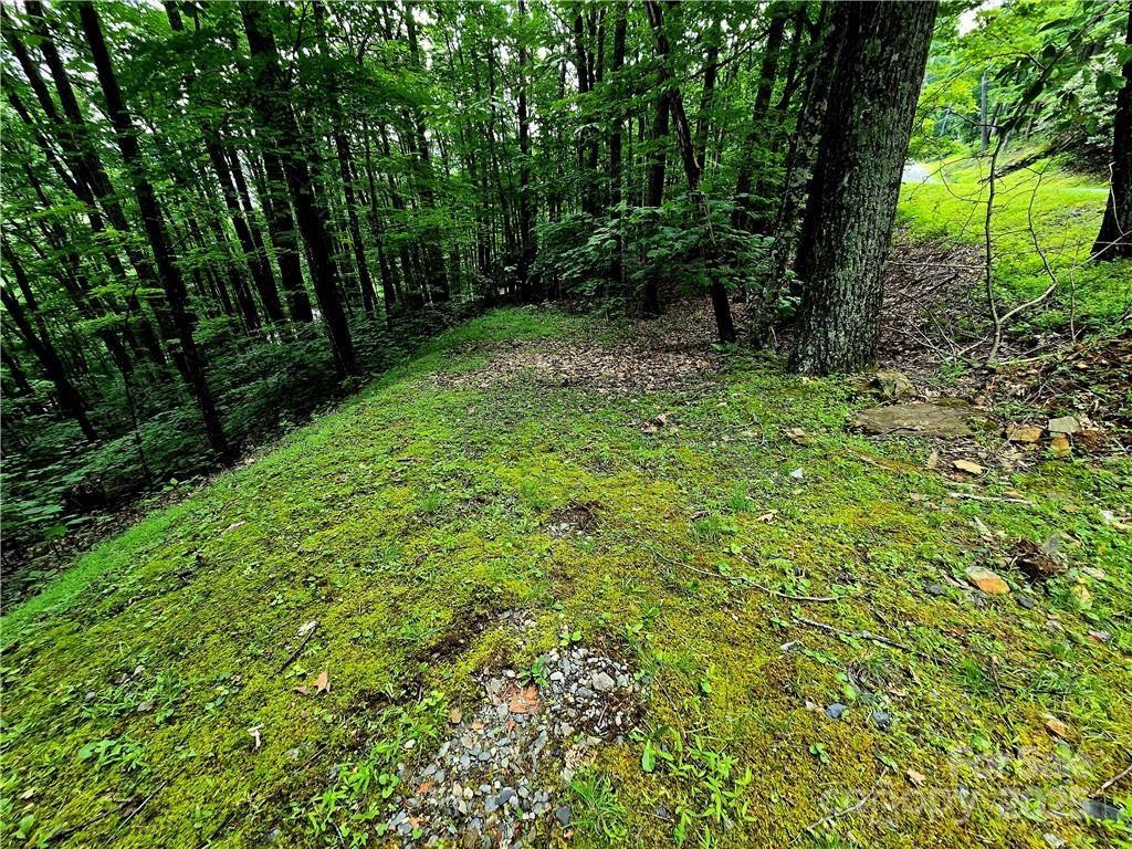 TBD Red Fox Ridge 5