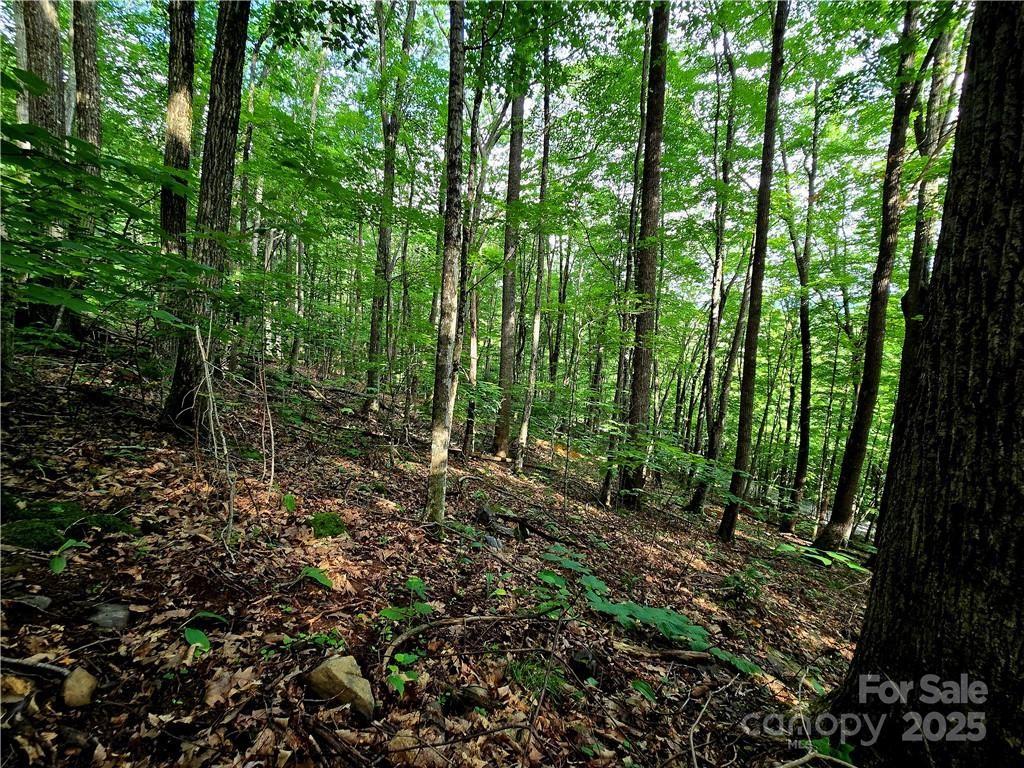 TBD Red Fox Ridge 5
