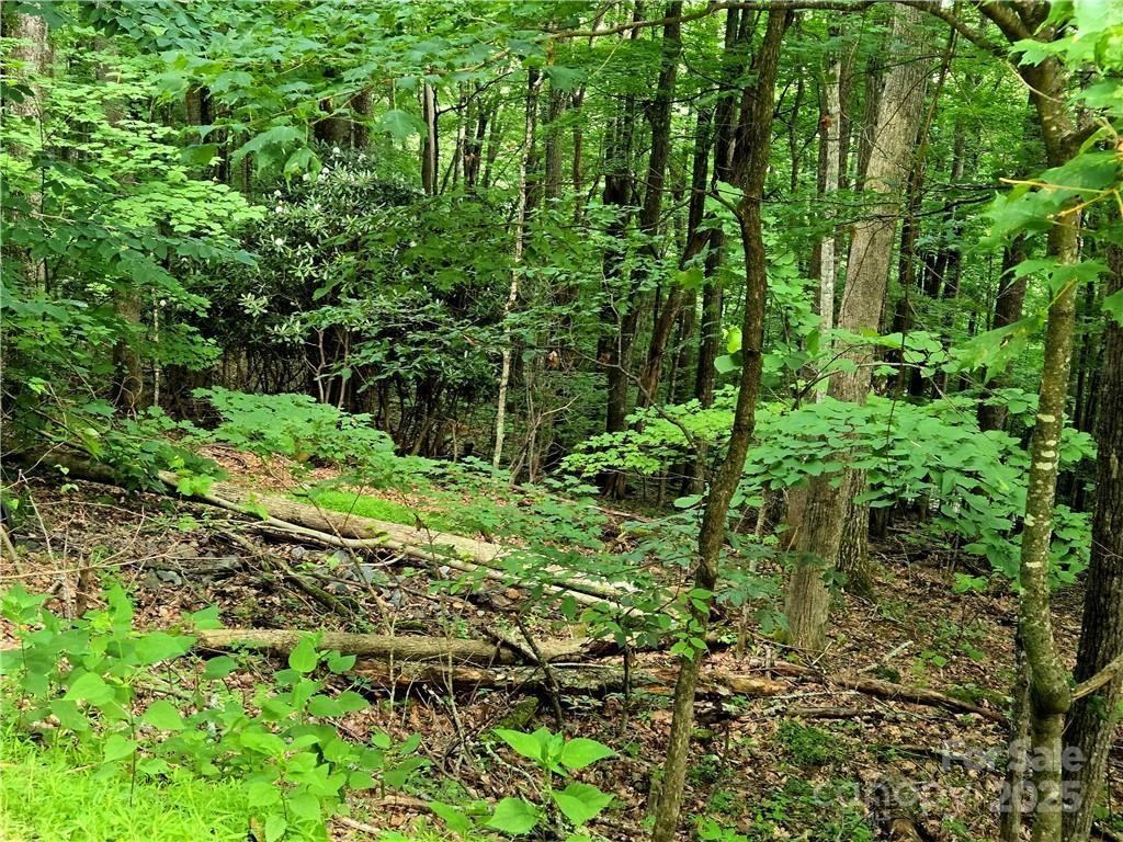 TBD Red Fox Ridge 5