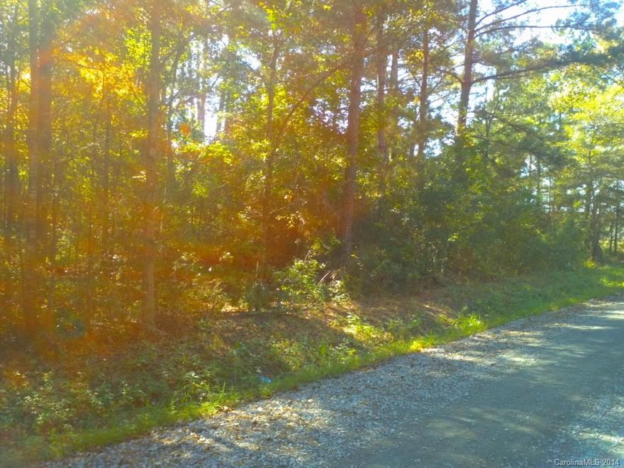 Owners must sell!  Located near the Santee Dam in Cross, SC, off Hwy 45 and Spring Plain Rd is 2+ acres with timber and a small shared pond at the rear.  No Well or Septic, but land was perked and Septic permit is available and transferrable to new owner. Land has not been deemed to be a flood zone, but does have some flooding at road frontage during certain times.