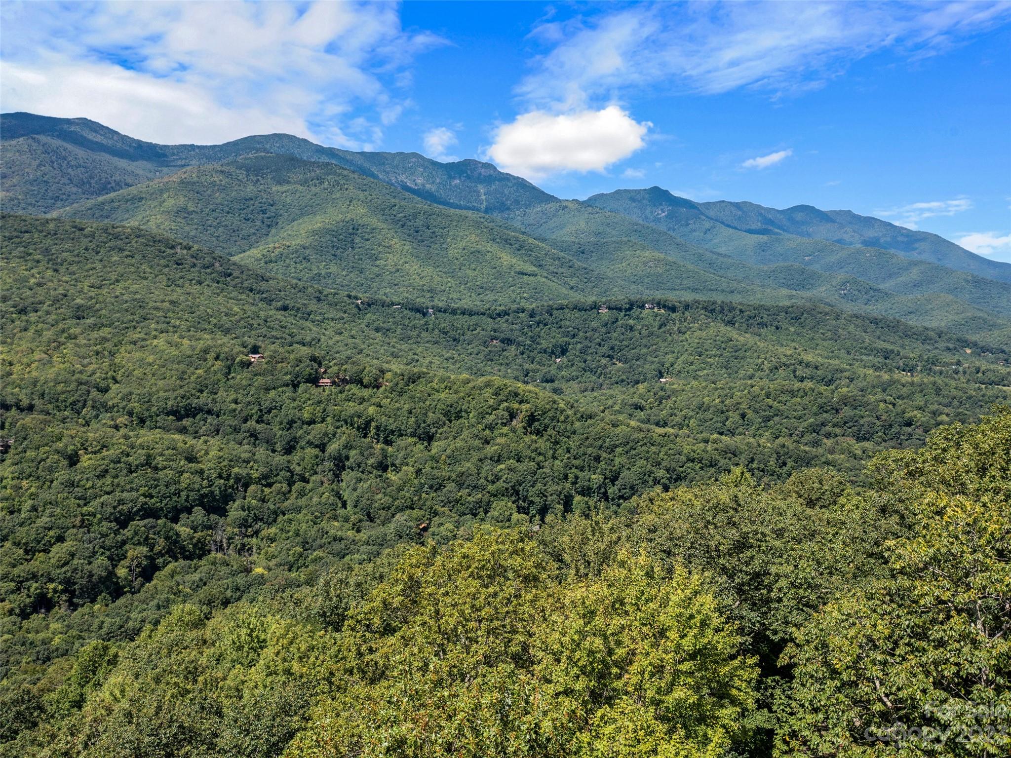 Mt. Mitchell Lands - Land