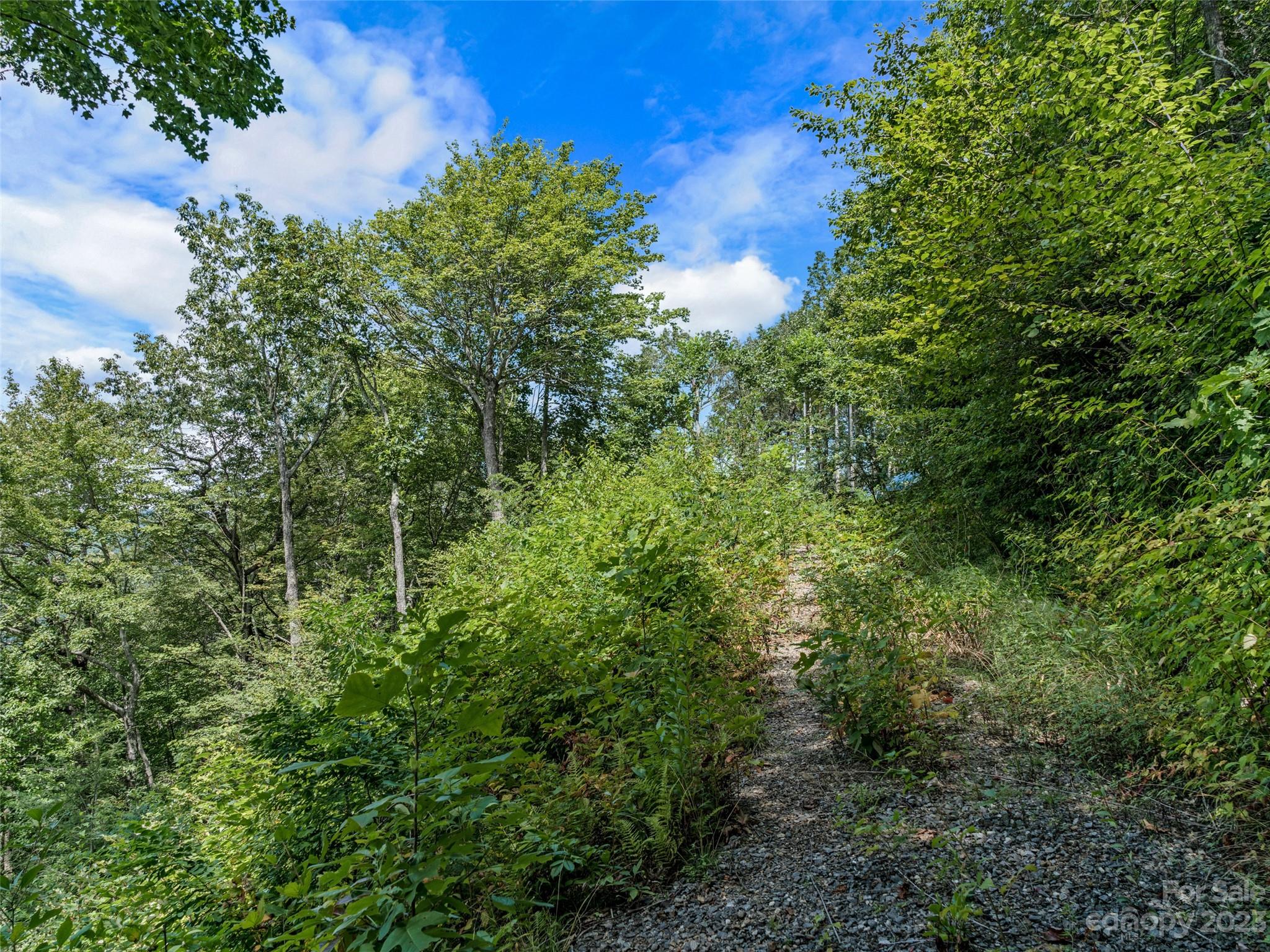Mt. Mitchell Lands - Land