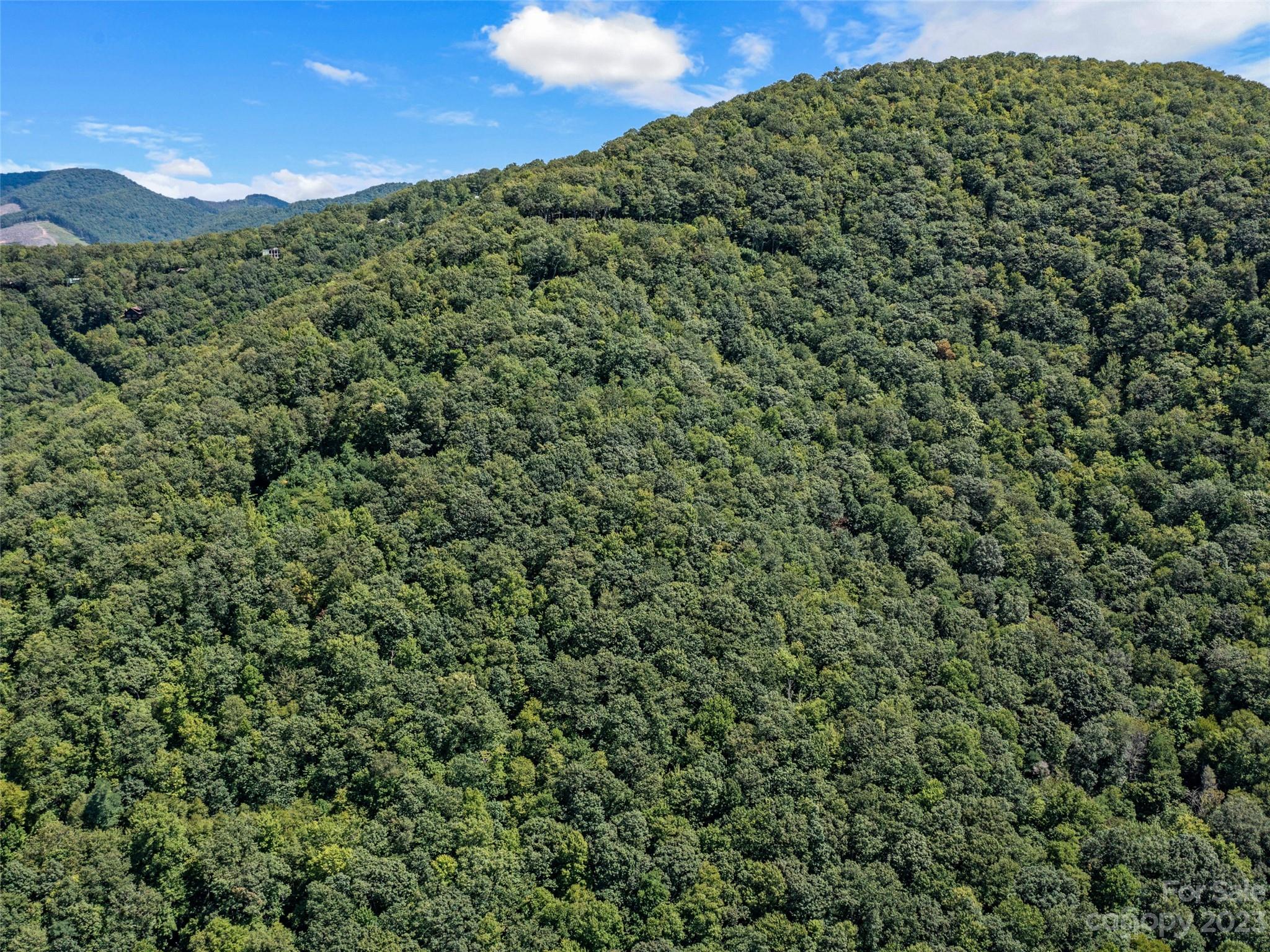 Mt. Mitchell Lands - Land