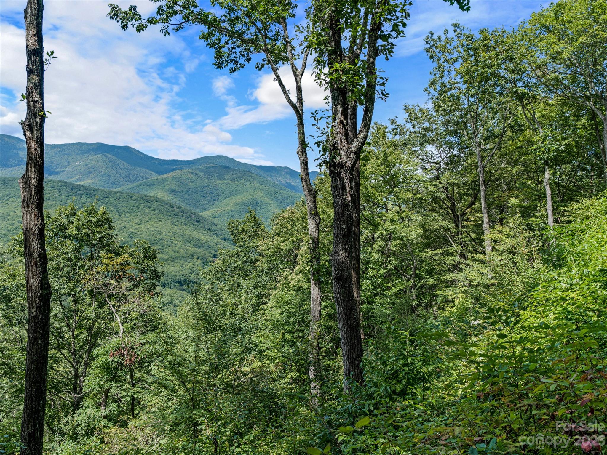 Mt. Mitchell Lands - Land