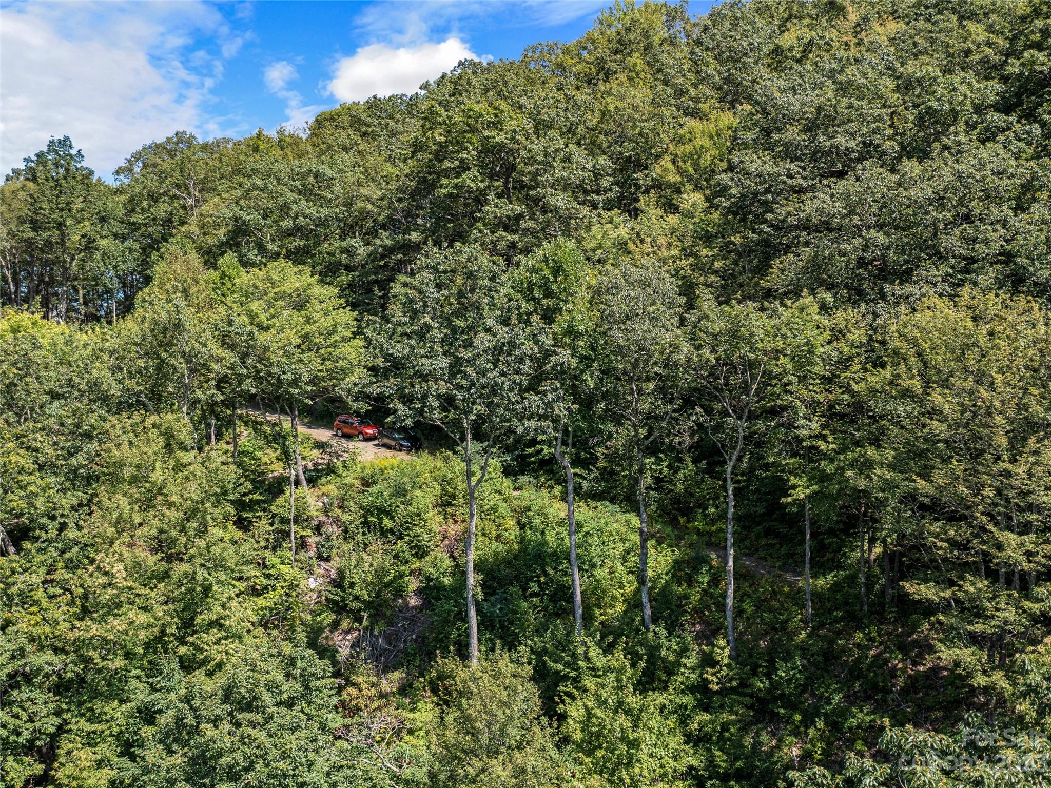 Mt. Mitchell Lands - Land