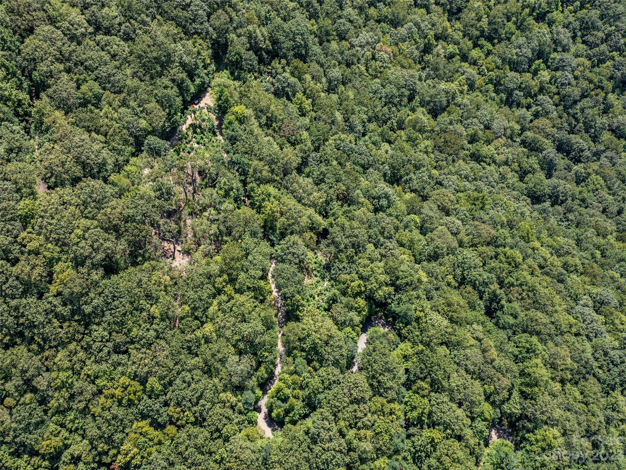 Mt. Mitchell Lands - Land