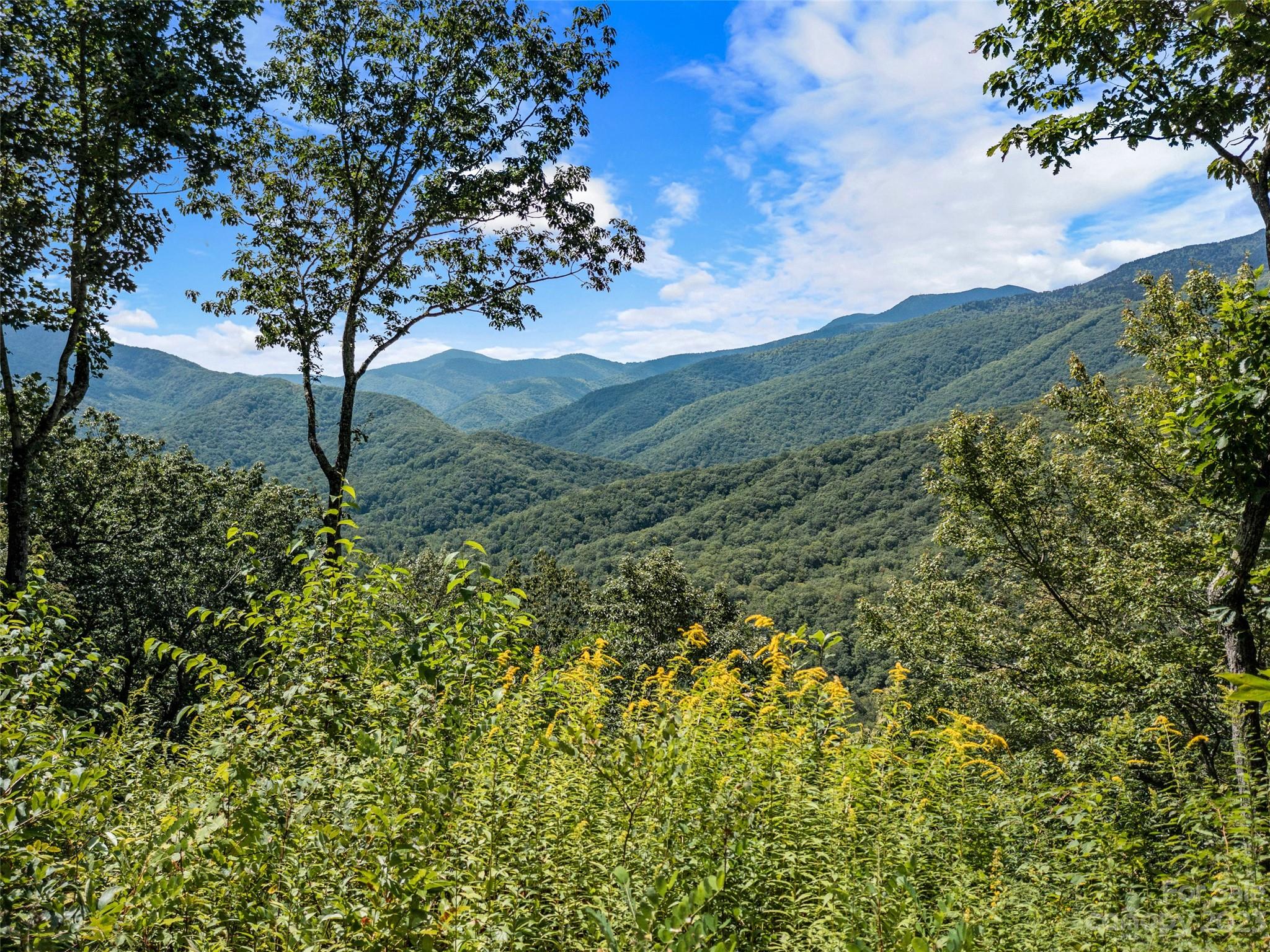 Mt. Mitchell Lands - Land