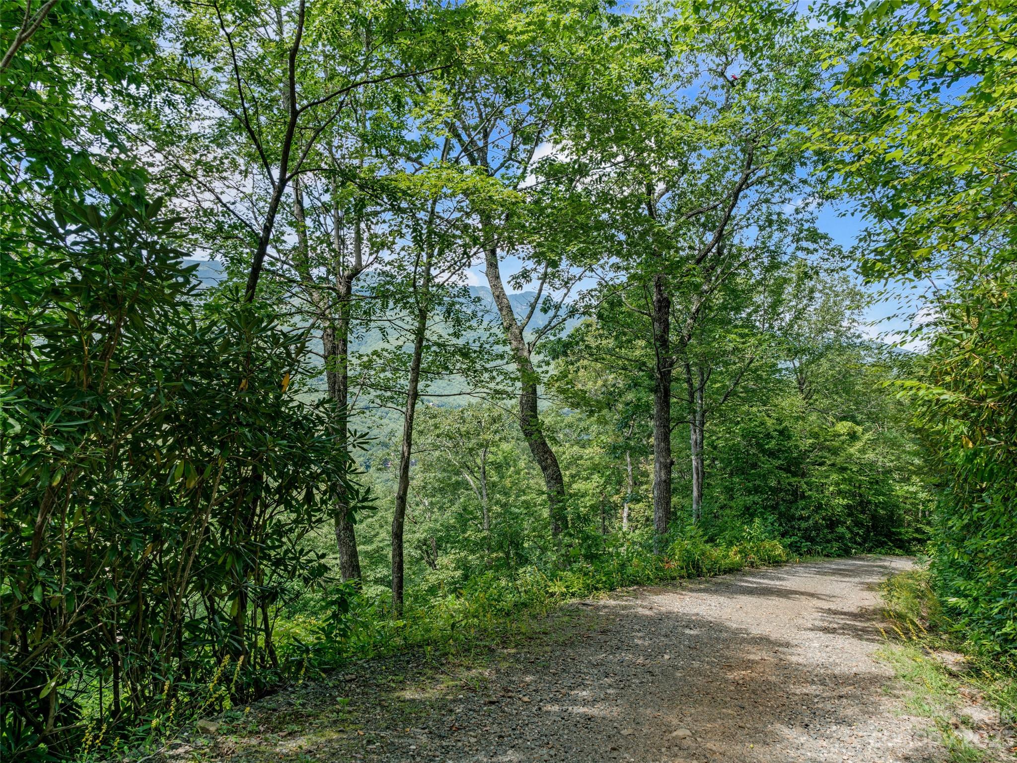 Mt. Mitchell Lands - Land