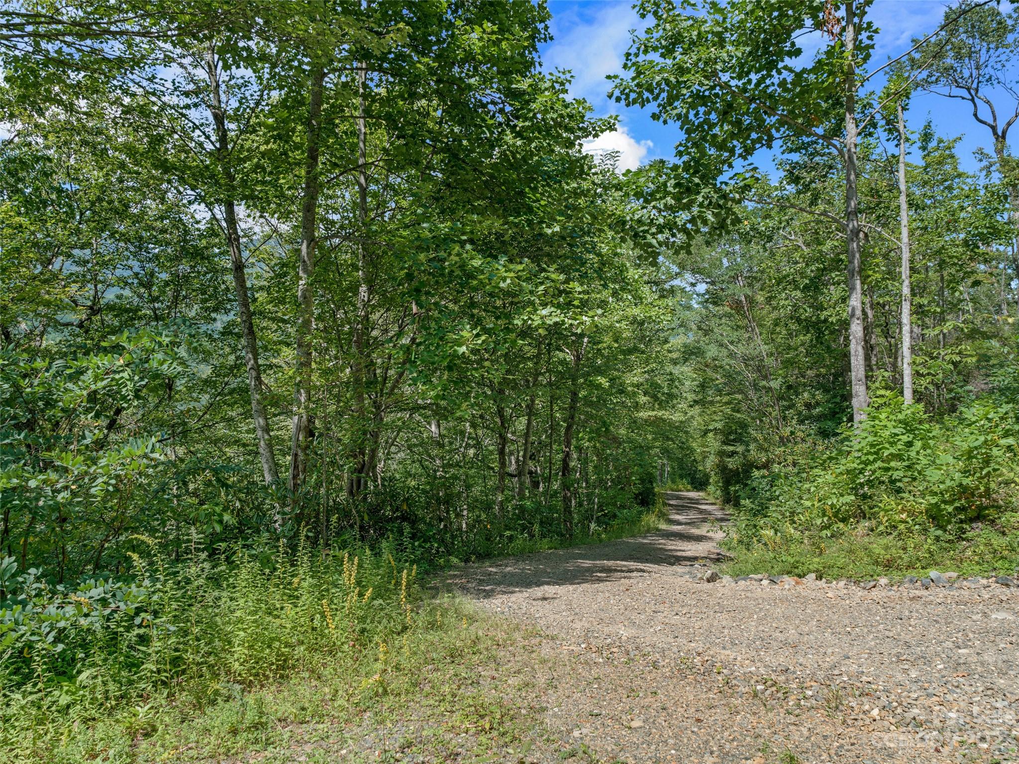 Mt. Mitchell Lands - Land