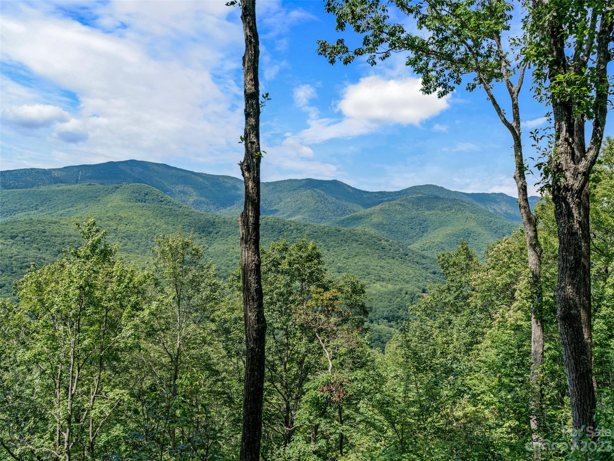 Mt. Mitchell Lands - Land