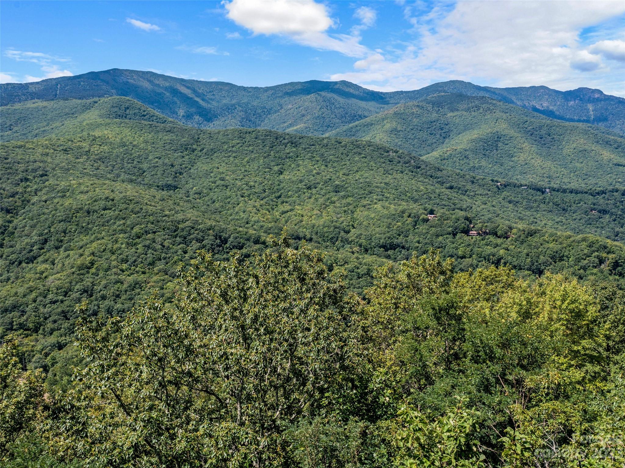 Mt. Mitchell Lands - Land