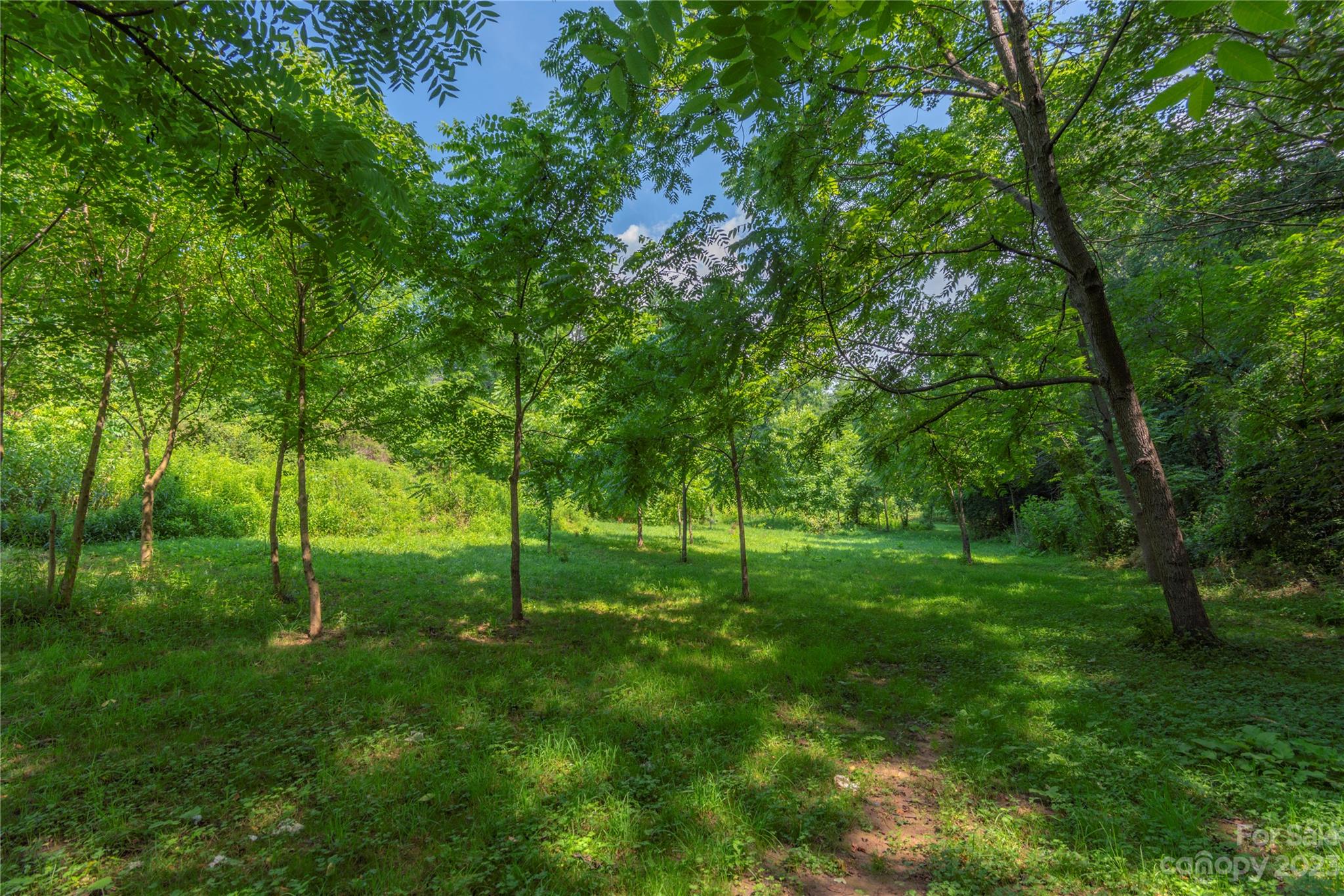 Beaverdam - Residential