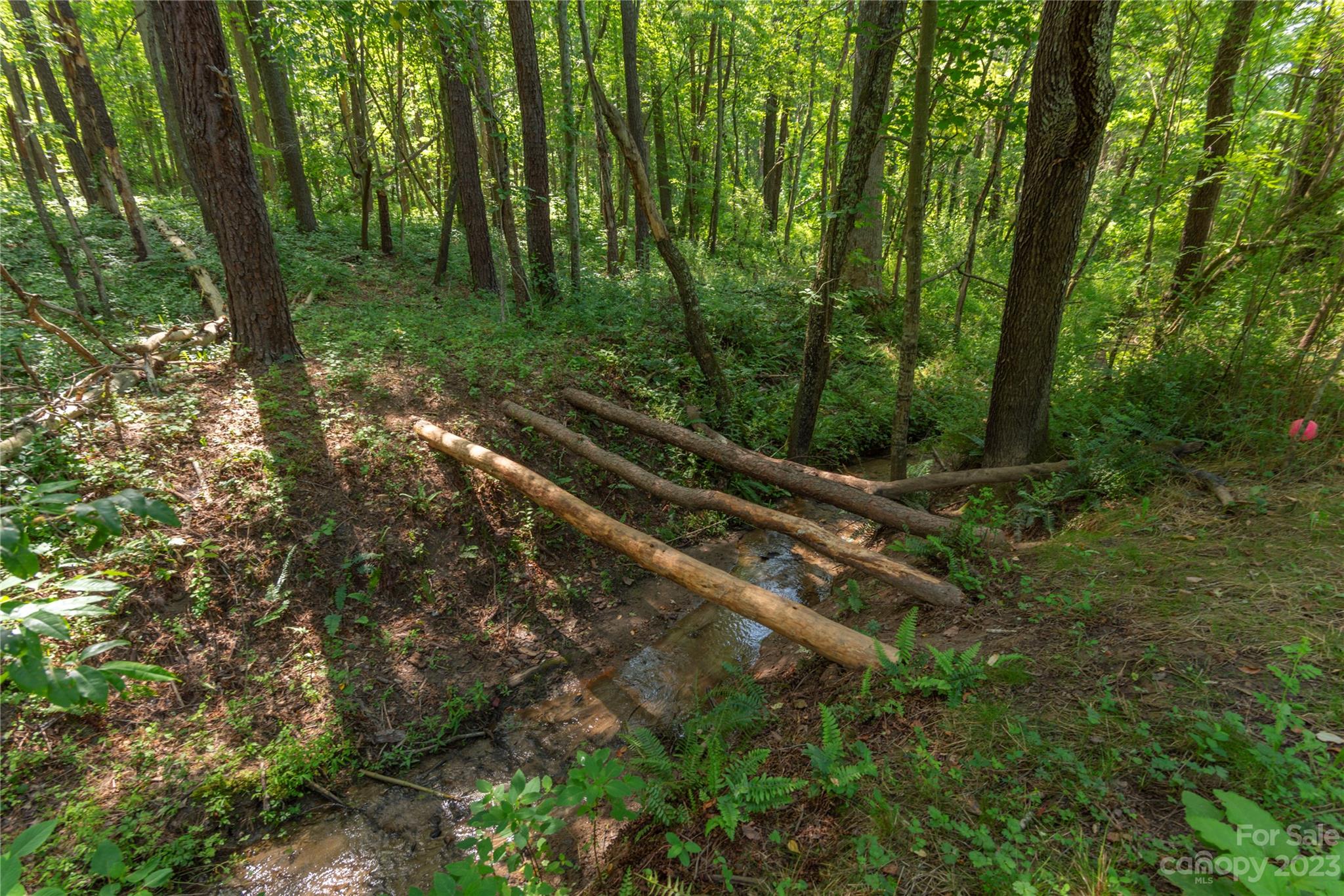 Beaverdam - Residential