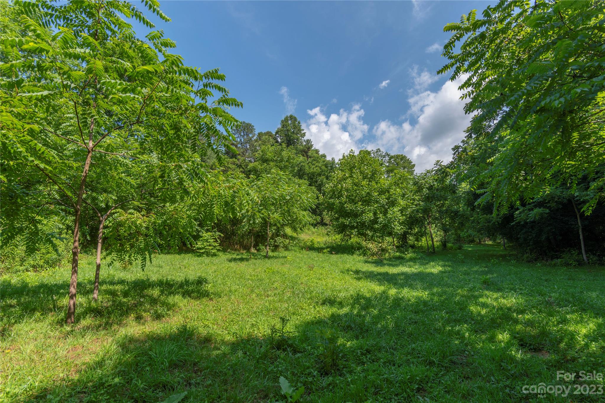 Beaverdam - Residential