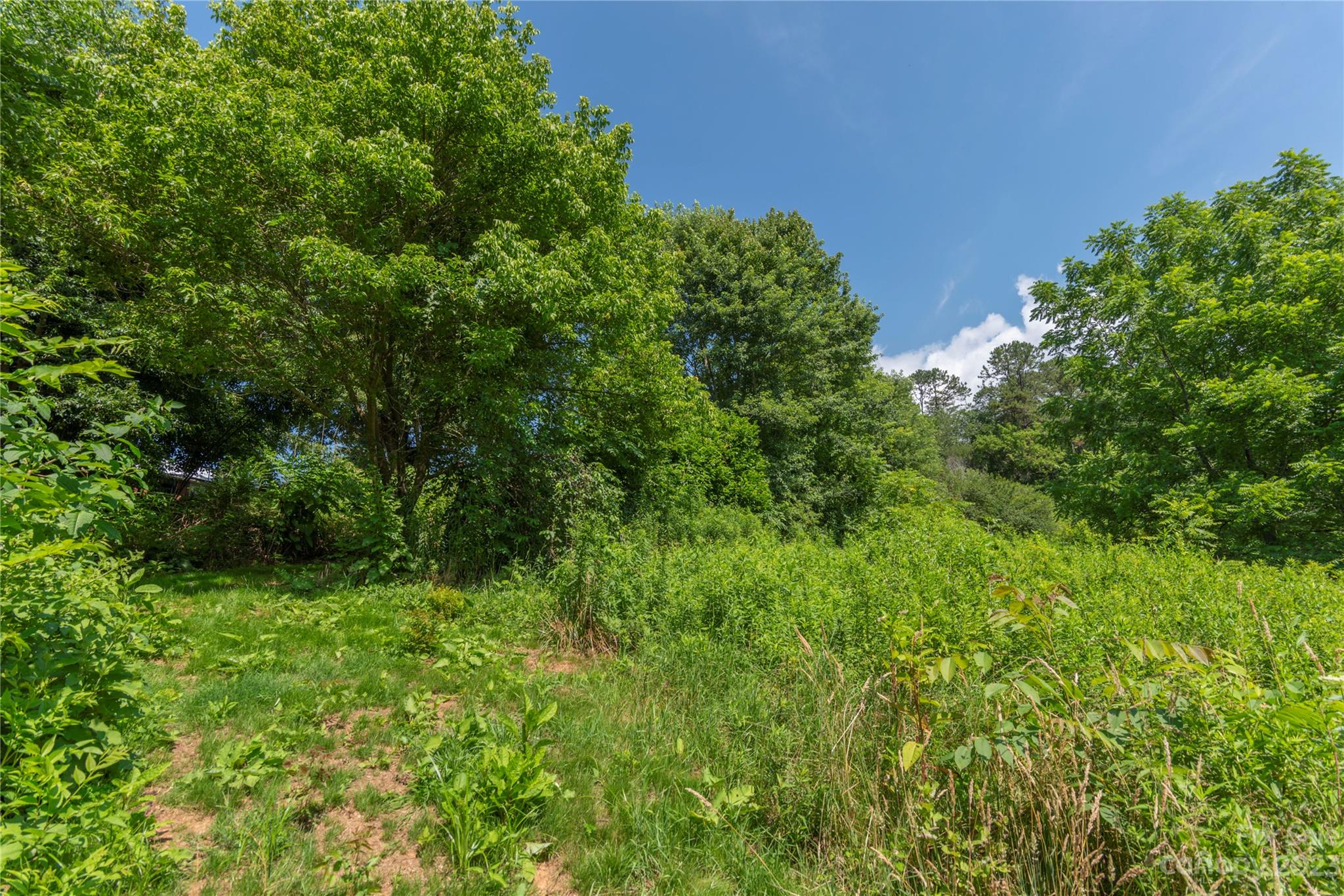 Beaverdam - Residential