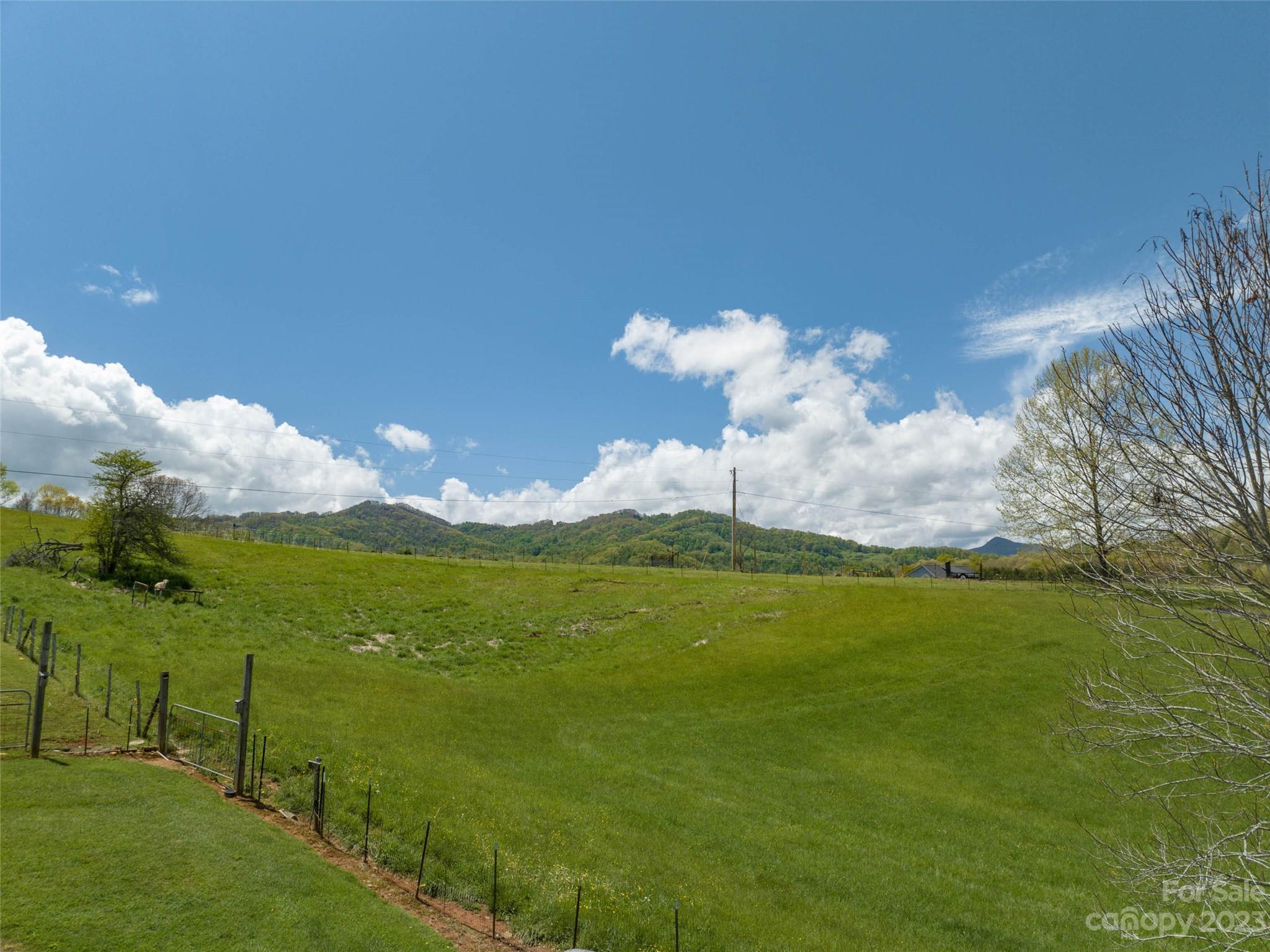 #4 Sunny Hill Lane
