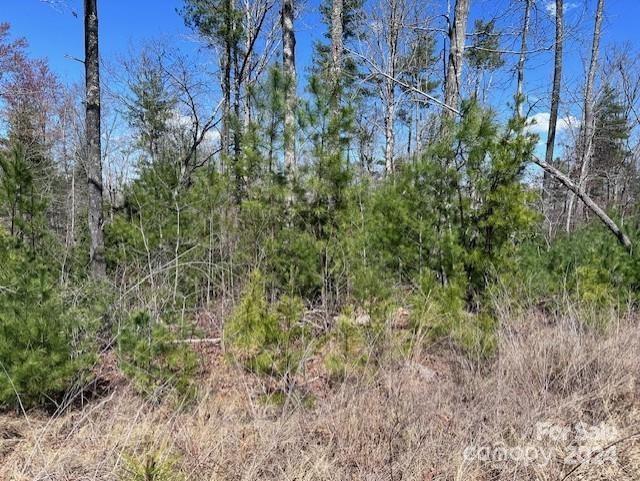 Granite Falls, North Carolina 28630, United States, ,Land,Under Contract,40188