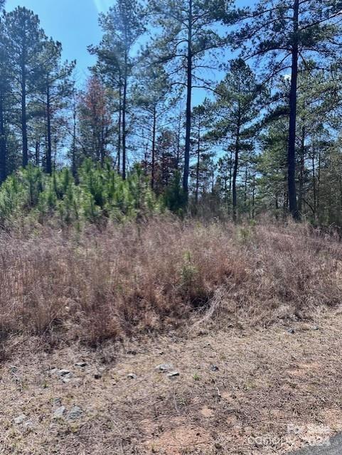 Granite Falls, North Carolina 28630, United States, ,Land,Under Contract,40188