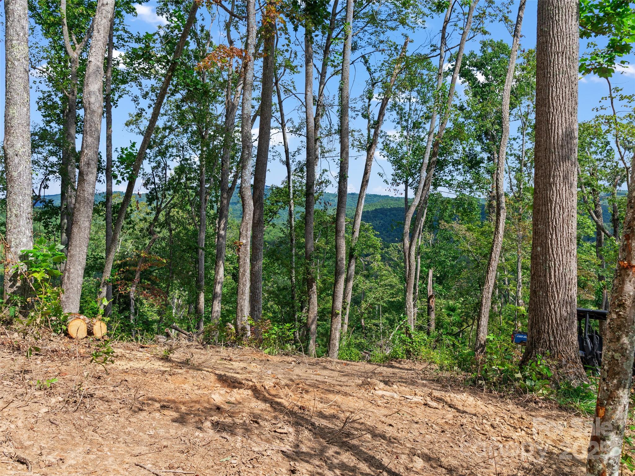 99999 Youngs Gap Road South Lot