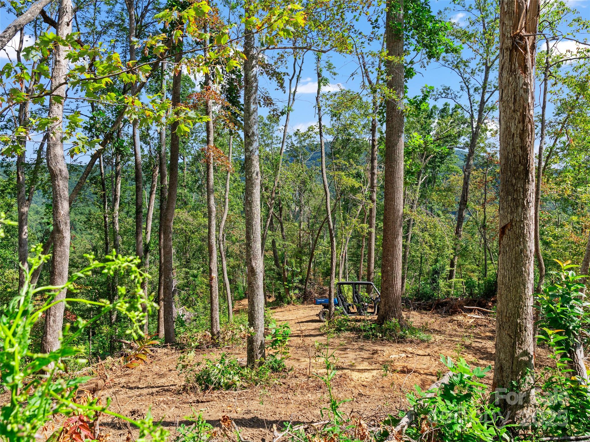 99999 Youngs Gap Road South Lot