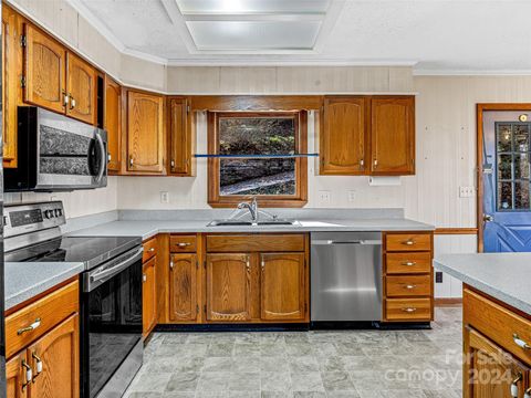 A home in Pisgah Forest