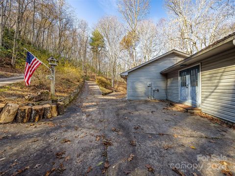 A home in Pisgah Forest