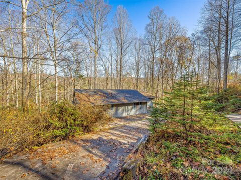 A home in Pisgah Forest